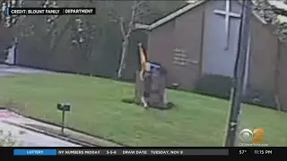 Man Rips Down Pride Flag Outside Church In New Jersey