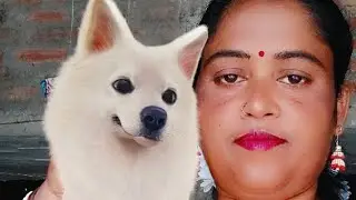 Funny and short video and everything mixing this channel please support and subscribe this channel a