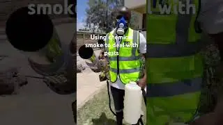Pest control using chemical smoke #fumigation #fumigationservices fumi