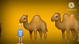 Safari animal size comparison for kids 