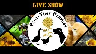 PTP Live: Ask the Chef and Homesteaders of America Conference Recap!