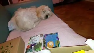 The Blurt Company Review of Buddy Box May 2017 Edition Part 1