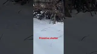 Примитивное убежище на острове Кодорус @dayhikingandherpingdudes