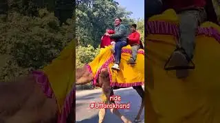 Adventure 🐪 ride #uttarakhand #adventure #shorts #travel #travelvlog