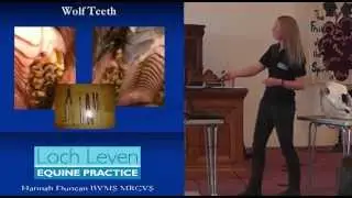 Loch Leven Equine Practice - Hannah Duncan BVMS MRCVS