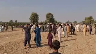 Horse racing 🐎 in Pakistan Burewala 495 EB