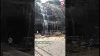 Old Falls | 02.12.2024 | Moderate Waterflow | Bathing Allowed  | Less Crowd | Kutralam Live