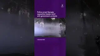 Police arrest Georgia opposition leader amid anti-government protests