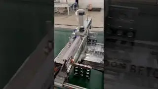 CW-1000SBD  Composite PP Material Food Package Bag Making Machine