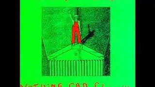 Robert Wyatt - Nothing can stop us