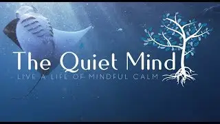 4K - MANTA RAY & SEALS - SLEEP & MEDITATION MUSIC - The Quiet Mind