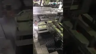 Automatic cartoner for food
