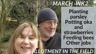 March weekend jobs on our allotment.
