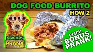 Tasty Tricks : Dog Food Burrito - Pranx CRU