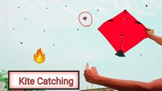 Kite Catching | Kite Snatching |