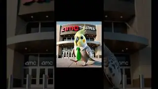 Billie the cockatiel walks into an AMC theatre!🦜 #cockatiel #birds #memes #shorts #animation