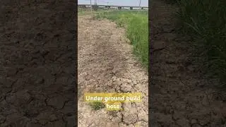 Under ground build hose#short#shorts#trending#unique#fyp