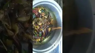 Polihora Pulusu #polihora #polihorapulusu #food #viral #shorts #foodvideos