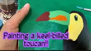 Painting a rainbow billed toucan! (Keel-Billed) (Part 1 painting toucans)
