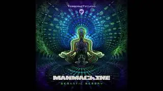 ManMachine - Semantic Memory