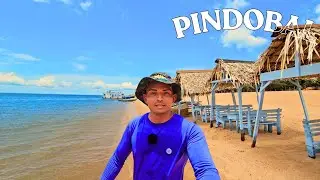 UMA  PRAIA INCRÍVEL NO PARÁ | Foi MUITA DIVERSÃO e AVENTURA em FAMÍLIA nesse dia