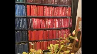 Intentional Decor Day - Books