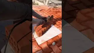 Red Bricks Cutting Tutorial #asmrconstruction #constructionchannel #satisfying #bricklaying