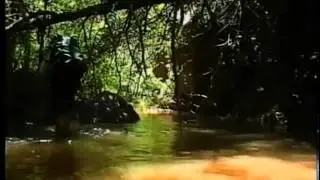 Haigler Creek Circa 1999
