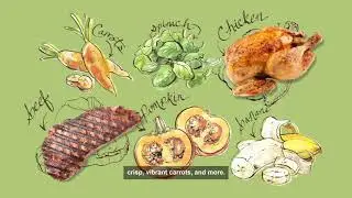 The Honest Kitchen Dehydrated Pet Food | Healthy, Human Grade Dog and Cat Food