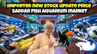 Imported New Stock Update Price | Saddar Fish Aquarium Market Latest Visit 2025 | Kami razzaq 