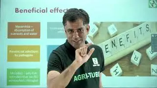 Biofertilizer   Nitrogen Fixation phosphate Solubilization Mycorrhiza Microbiology Agriculture