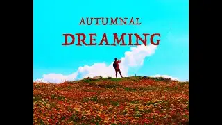Beautiful relaxing movie string ensemble to soothe the mind ~ 'Autumnal Dreaming' ❤️