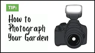 Tip: How to Photograph Your Garden