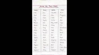 House name of Animals  🖍️.....
