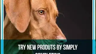 Get samples of pet food now! Free