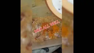 How to make chicken potty #homemade