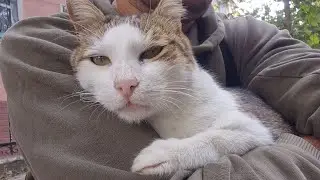 This Cat Loves Me Too Much! Won&rsquo;t Stop Cuddling!