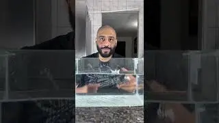 O &uacute;ltimo me surpreendeu #hack #experimento #lifehack #hacksoflife #felipegandin #kwai #tiktokviral