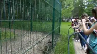 DSCN0080