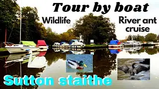 Sutton staithe tour by boat out of season river ant trip Norfolk broads wildlife fishing spots fun