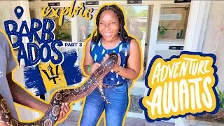 Exploring Barbados 🇧🇧 | Graeme Hall Nature Sanctuary, Holding a BOA 🐍 & FIRST Starbucks Experience!