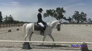 353D Haley Baird on Charlie Puth Starter Dressage Woodside May 2020