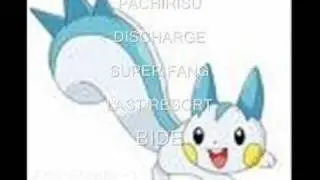The Best Ever Pokemon Super Contest Team