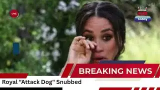 Meghan Markle REFUSES Olive Branch From Royal 
