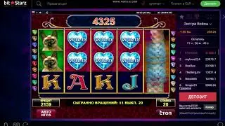 Выдоил котов через слот Diamond Cats