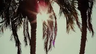 Wellness Tourism video