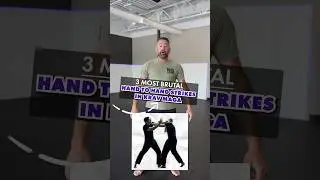 3 most brutal hand to hand STRIKES in KRAV MAGA!!  #mma #mmatips #martialarts #jiujitsu