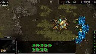 StarCraft TvZ - Royal vs MOtive . Champion of ASL14 vs Future of protoss
