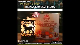 Himalayan Pink Salt Lamp SPB-28 │ GM SALT │ Home D&eacute;cor │ Bedside Lamp │ Laser Cut Iron Basket