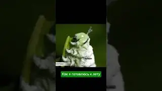 Промокоды и скидки на спорт и правильное питание здесь 😎👉 